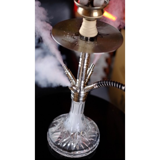 ShishaBulls PerformaX